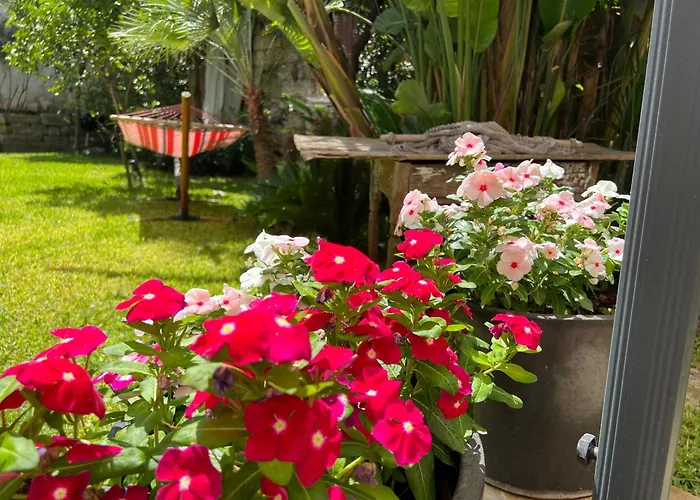 Apartament Esclusivo Con Giardino
